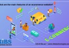 What are the main features of an ecommerce website?