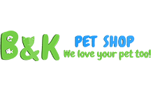 web development company in dubai