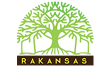 web development company in dubai